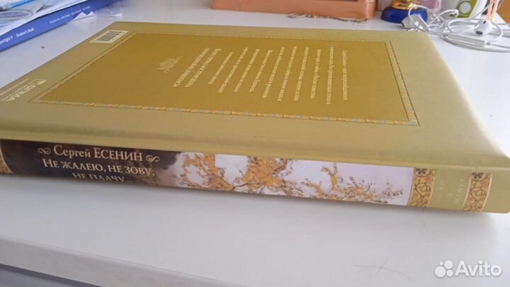 Холли Вебб. про котят, про щенят. Есенин