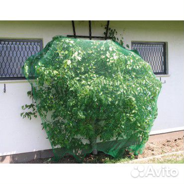 Пластиковая сетка для защиты урожая