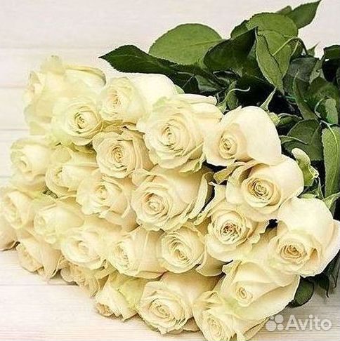 Розы Цветы Букеты 25 151 201 101 301 501 опт
