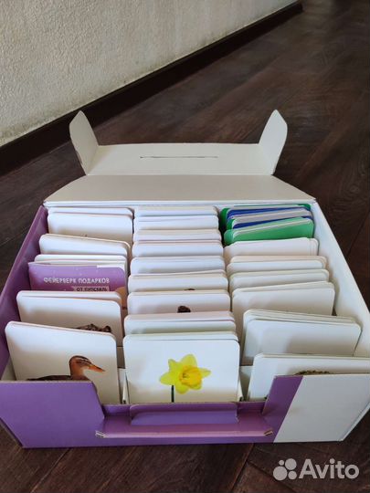 Чемодан знаний пупсвиль