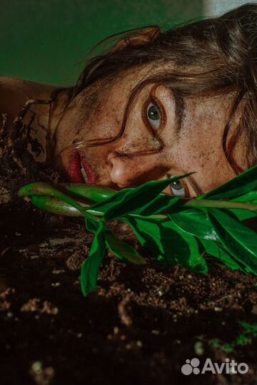 Фотограф и видеограф Красноярск