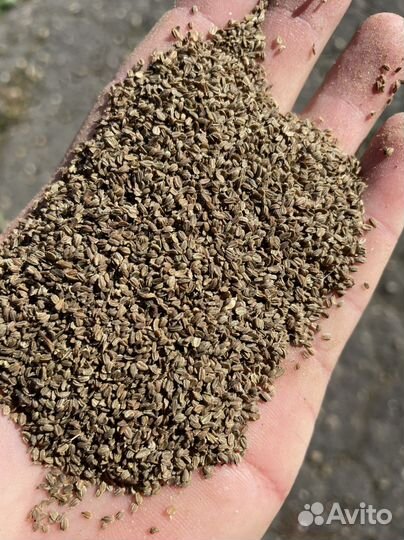 Семена,просроченные, Овощи,овощей