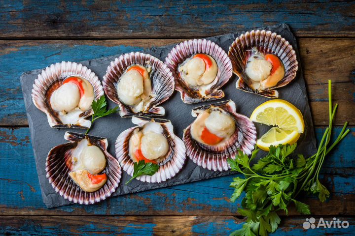 Морской гребешок с икрой в раковине свежеморож