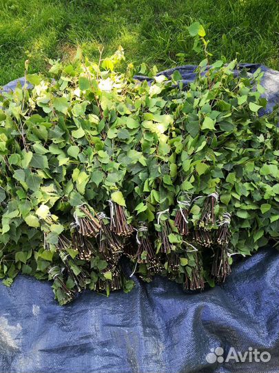 Веники для бани