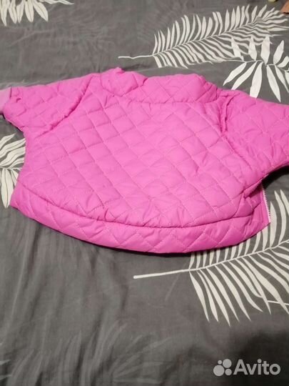 Куртка демисезонная для собаки