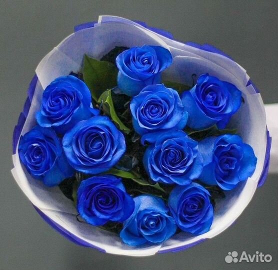 Синие розы Цветы Доставка