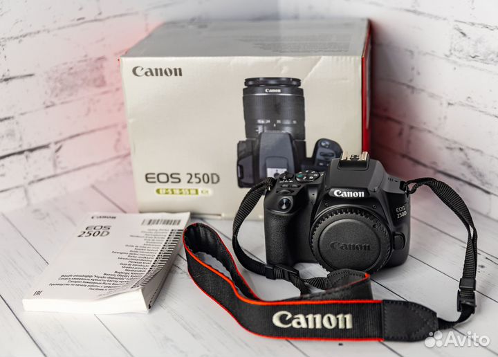Зеркальный фотоаппарат Canon EOS 250D