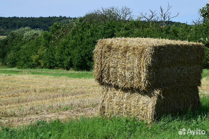 Кольчугино Сено от производителя