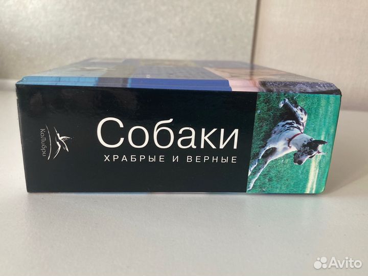 Книга Собаки храбрые и верные