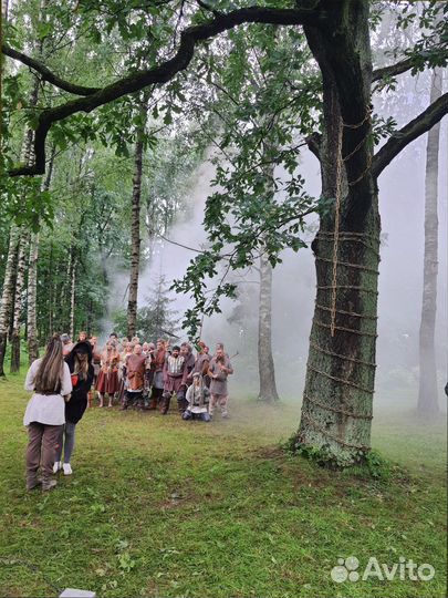 Ширма из дерева деревянный декор интерьера