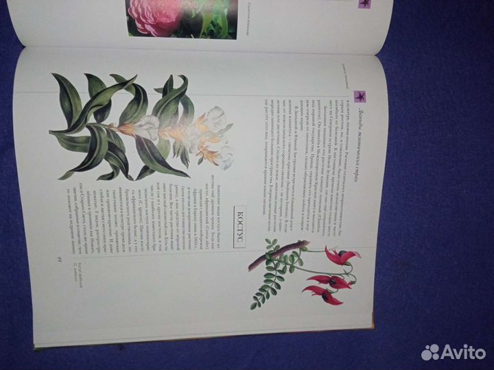 Книга цветы мира