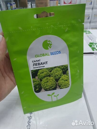 Семена салат Левант 1 000с Глобал сидс