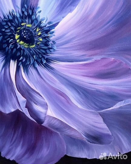 Фиолетовый анемон, картина маслом 60x60