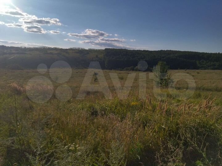 Участок 3,8 га (СНТ, ДНП)