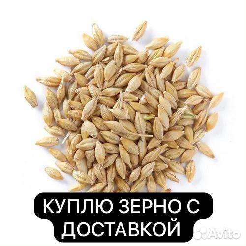 Ячмень, пшеница, овес, кукуруза, отруби, отсев