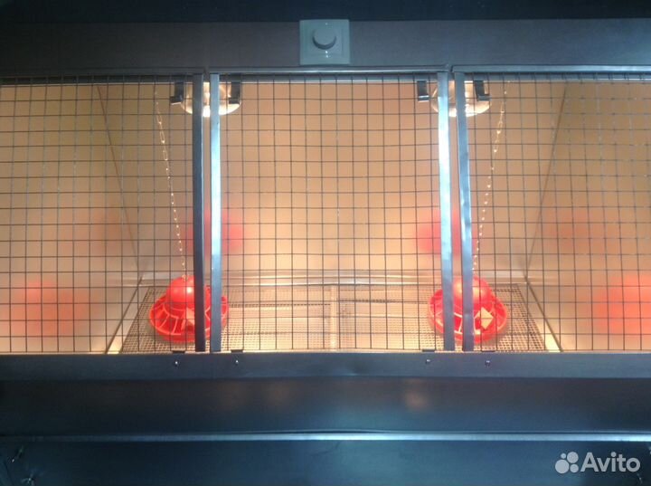 Новинка Брудер для Индюшат