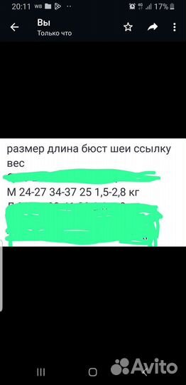 Куртка зимняя для собак мелких пород