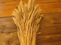 Букет пшеницы