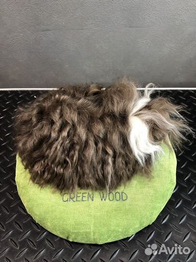 Морская свинка альпака