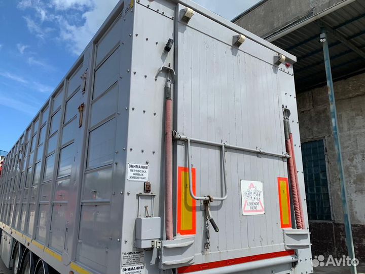 Полуприцеп для перевозки скота Тонар 9827, 2020