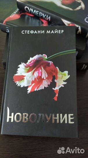 Сумерки. Набор книг
