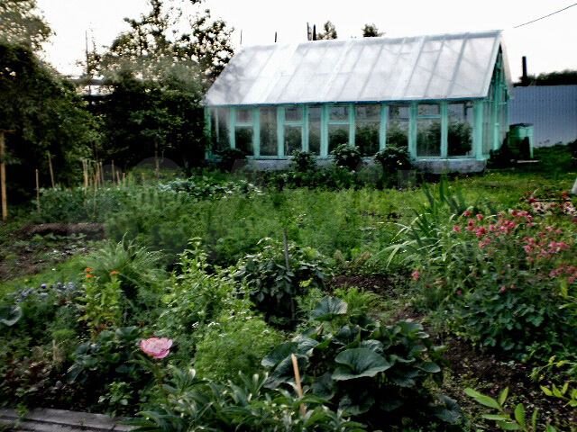 Дом 100 м² на участке 9,5 сот.