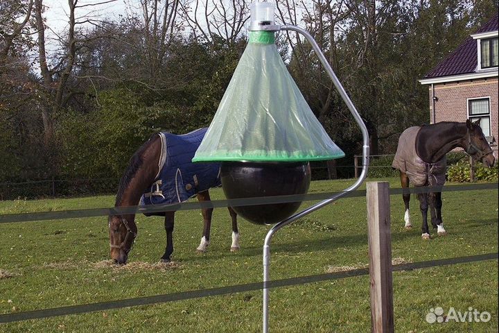 От оводов и слепней ловушка