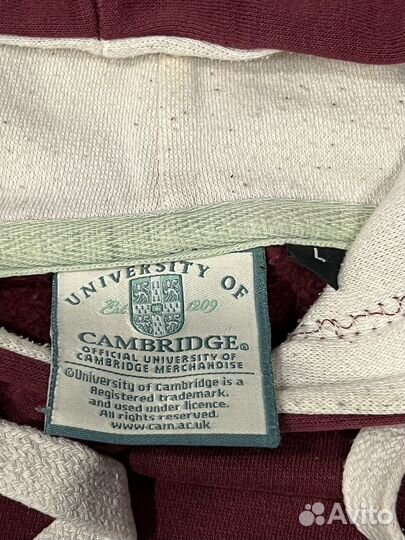 Толстовка мужская cambridge