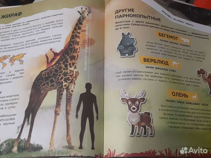 Новая энциклопедия 4D Знакомство с животными Devar