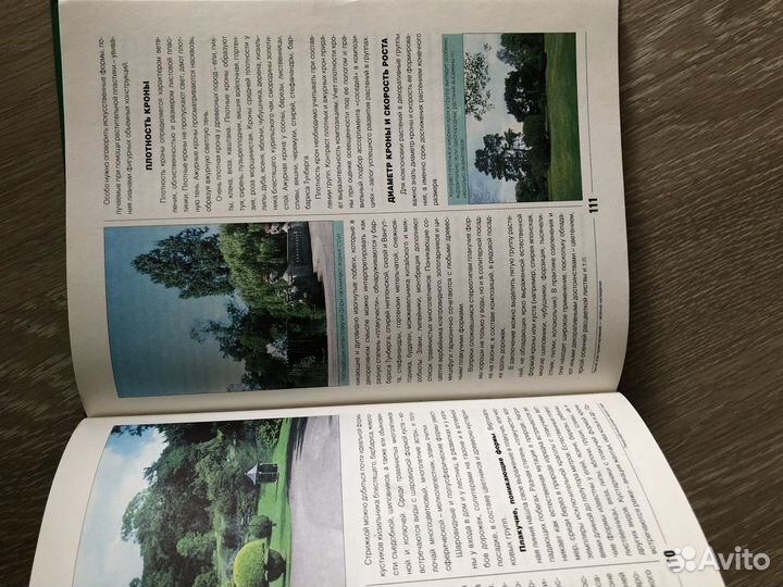 Ландшафтный дизайн, Титова