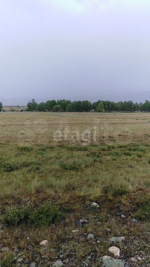 Участок 2,46 га (СНТ, ДНП)