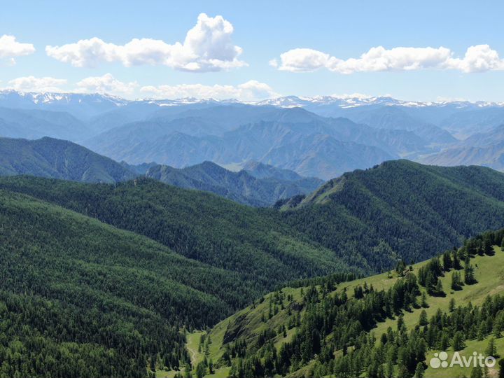 Экскурсия за видами Белухи