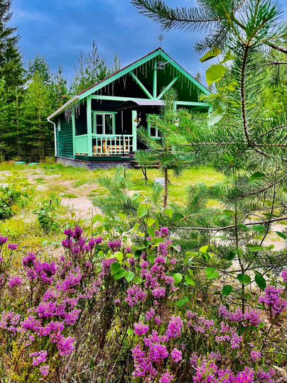 Дом 50 м² на участке 2 га