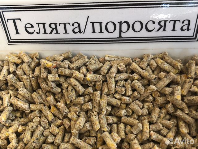 Перепелка старт