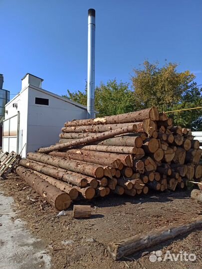 Ульи, рамка для выведения маток