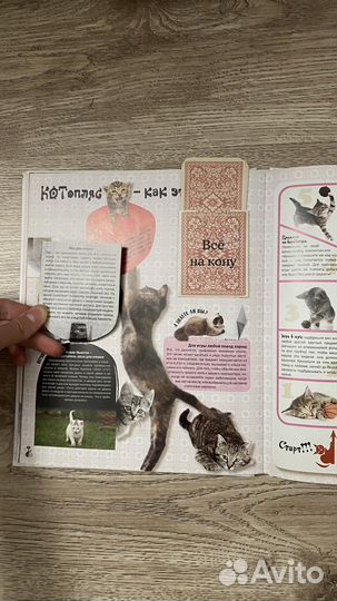 Энциклопедия про кошек