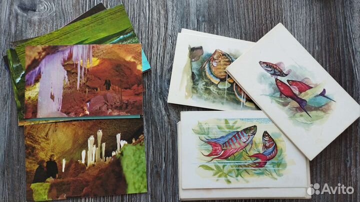 Открытки СССР