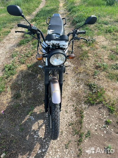 Racer RC150-23 Tiger