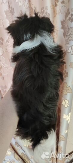 Очаровательная девочка