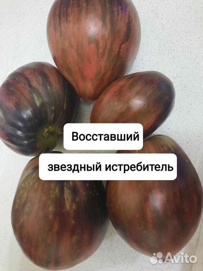 Семена сортовых помидор