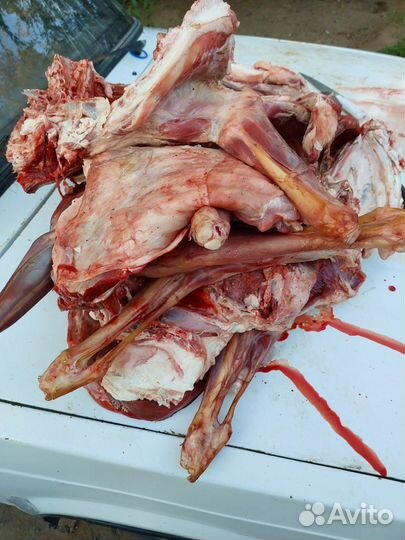 Мясо для собак