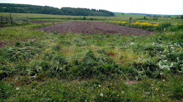 Участок 21 сот. (ИЖС)