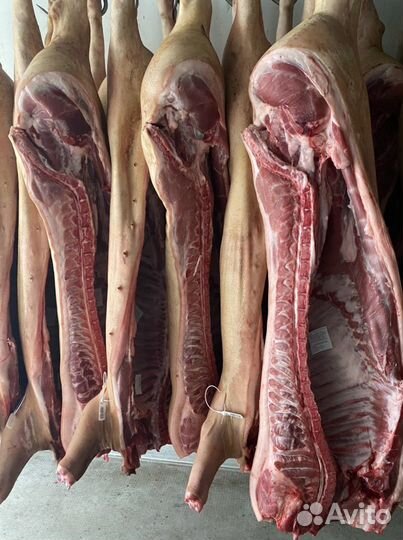 Свинина в полутушах охл