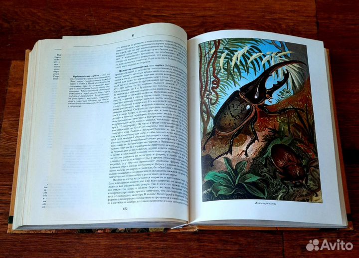 Большие словари,энциклопедии