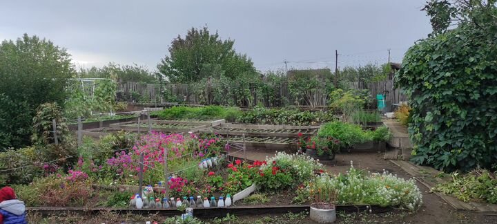 Участок 6,7 сот. (СНТ, ДНП)