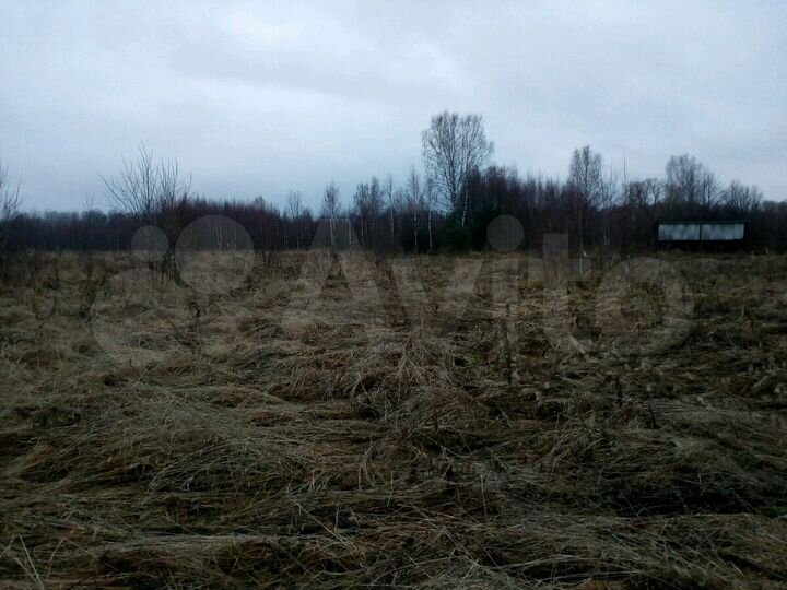 Дом 36 м² на участке 50 сот.