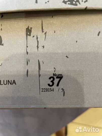 Кеды женские натуральная кожа Gio+