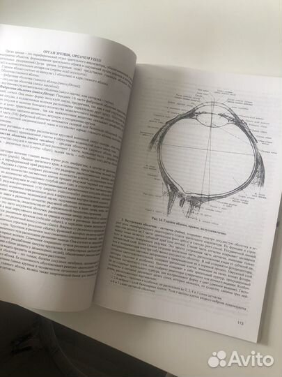 Методичка по анатомии Крымского мед университета