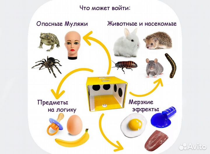 Аниматор и Нащупай шоу Красноярск