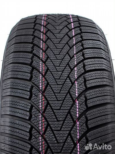 Arivo Winmaster ProX ARW3 205/70 R15 96T